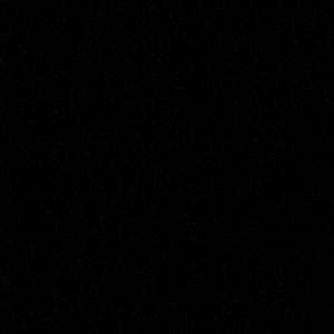 Meet your Posher, Ariana